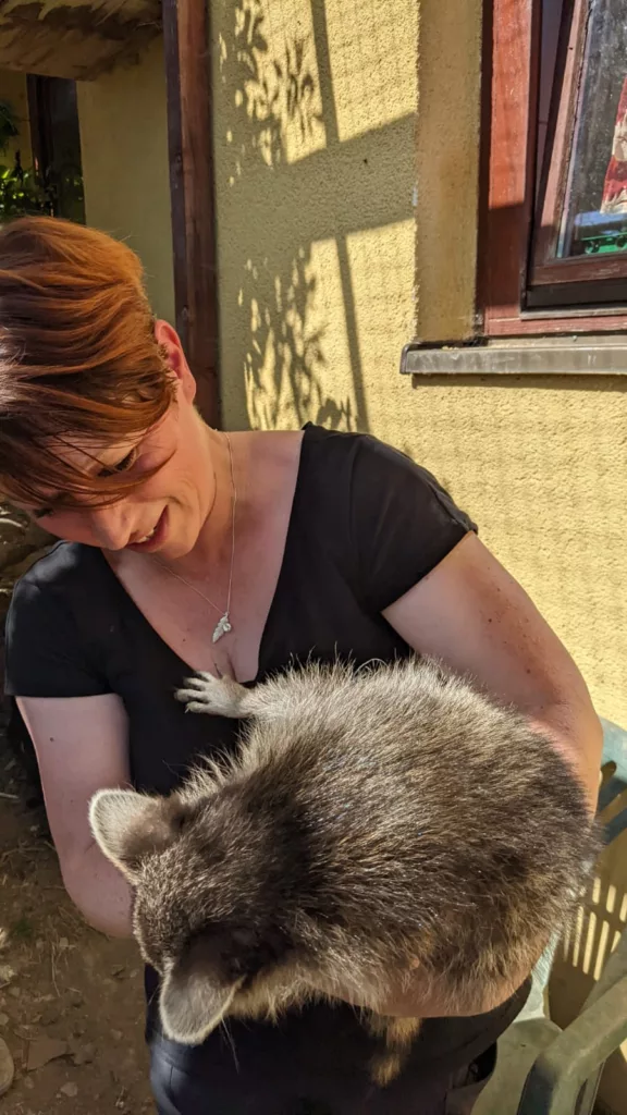 Tierheilpraktikerin hält einen Waschbären im Arm