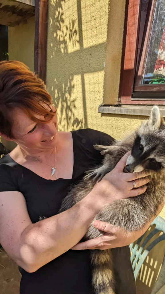 Waschbär kuschelt sich in die Arme von Marleen Porkert
